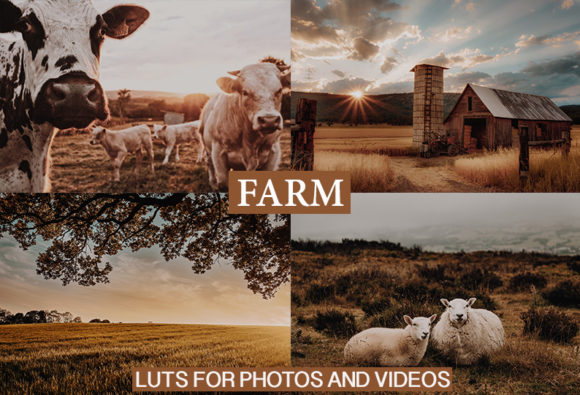 Download Desktop and Mobile Lightroom Presets - Mobile lightroom presets Collection