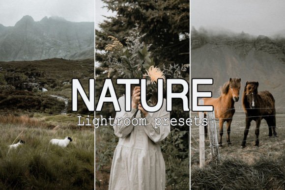Download 9 Nature Mobile Lightroom Presets - Mobile lightroom presets Collection