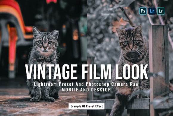 Download 15 Vintage Film Look Lightroom Presets - Vintage Collection